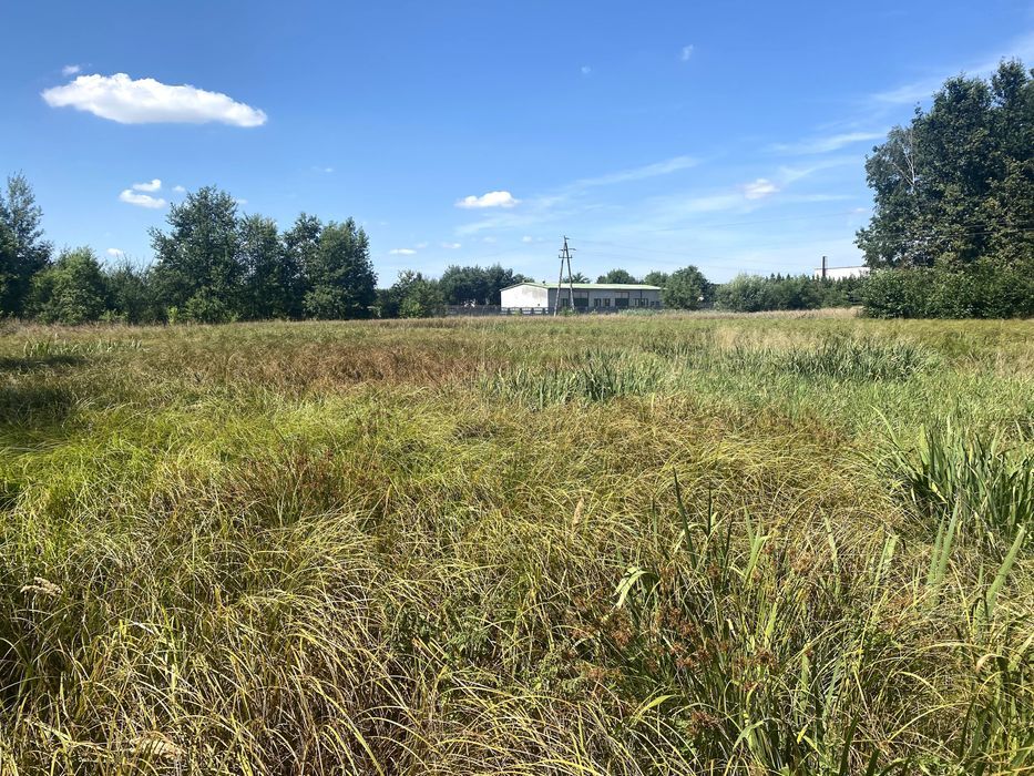 Działka rolna Radomsko. Zdjęcie 3