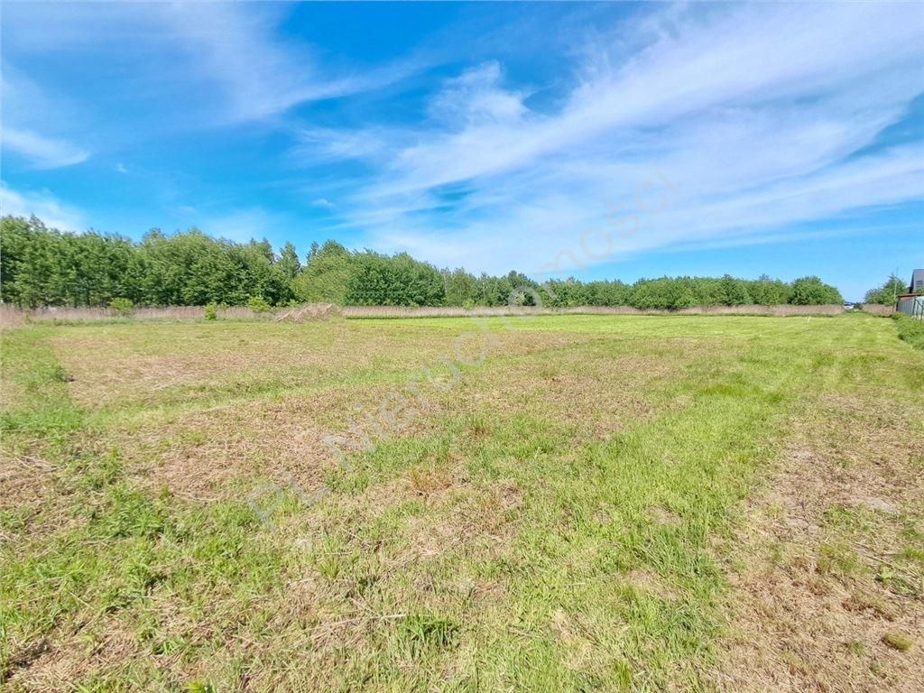 Działka budowlana Stojadła, ul. Królewska. Zdjęcie 2