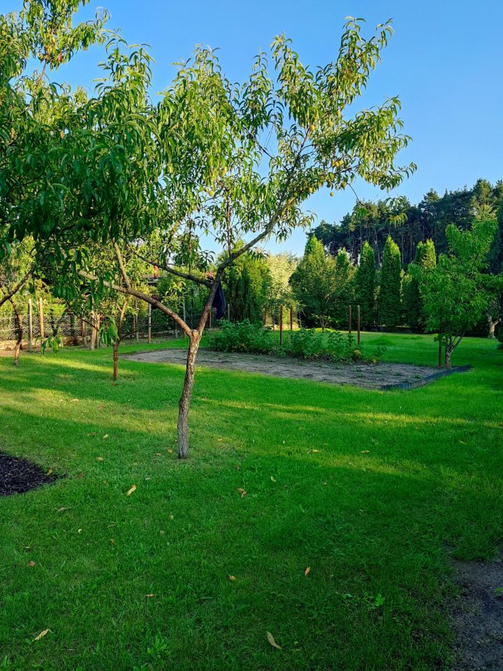 Działka rod Nowa Sól Stare Żabno, ul. Śląska. Zdjęcie 4