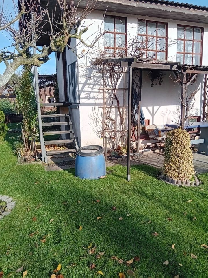 Działka rod Czerwieńsk. Zdjęcie 3