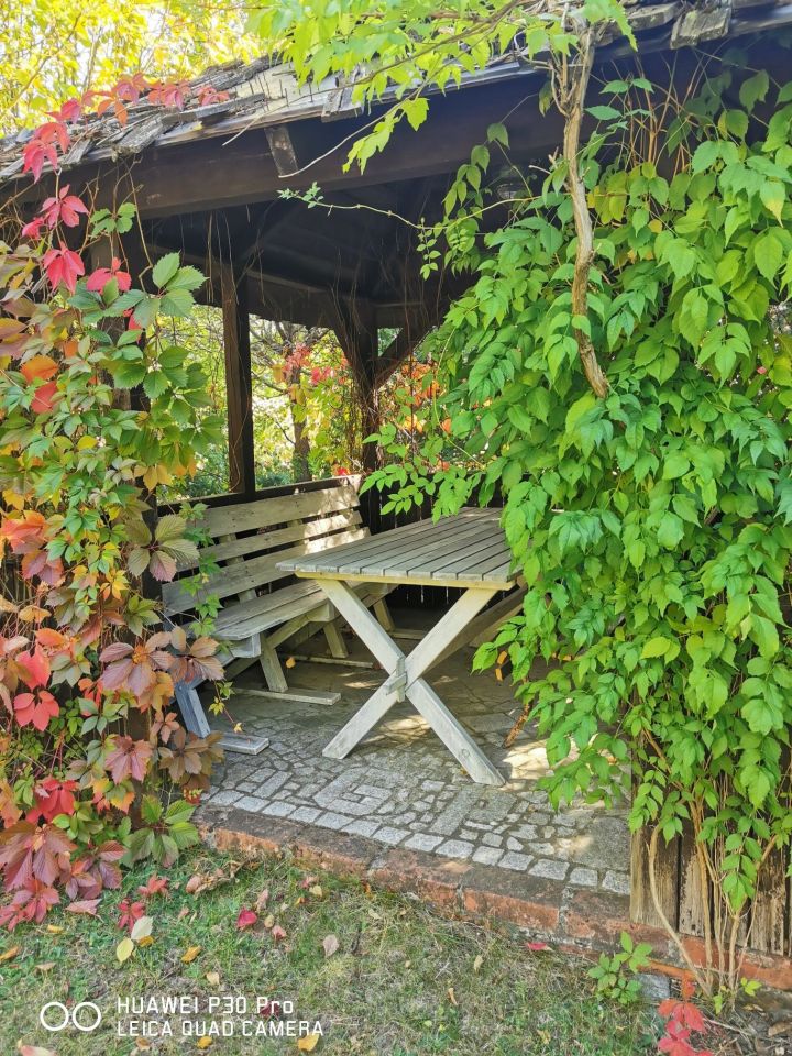 Działka rod Zielona Góra Ochla. Zdjęcie 4