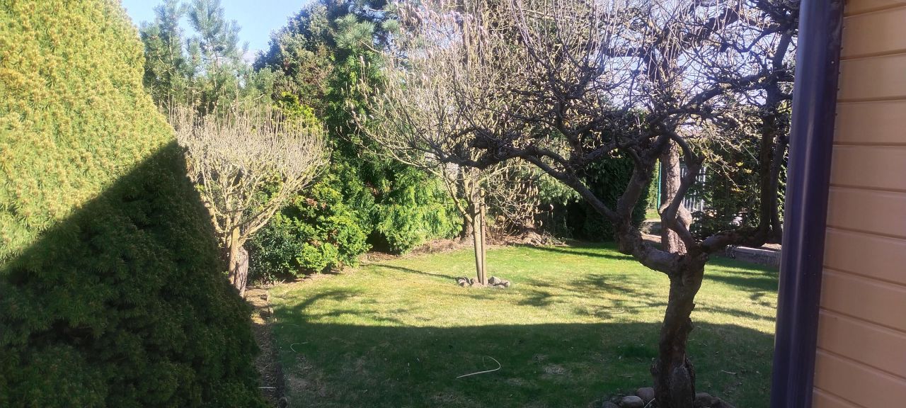 Działka rod Szczecin Warszewo, ul. Fryderyka Chopina. Zdjęcie 11