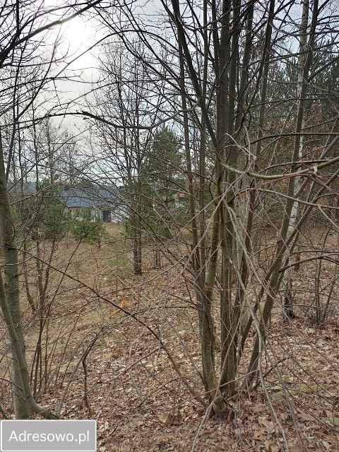 Działka budowlana Studzianki, ul. Supraślska. Zdjęcie 4