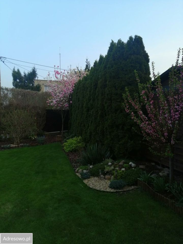 dom wolnostojący, 4 pokoje Malbork. Zdjęcie 10