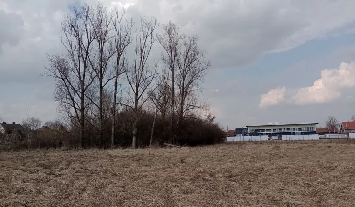 Działka inwestycyjna Kazimierza Wielka, ul. Bartosza Głowackiego