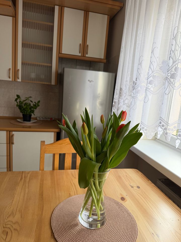 Mieszkanie 1-pokojowe Kraków Podgórze. Zdjęcie 3