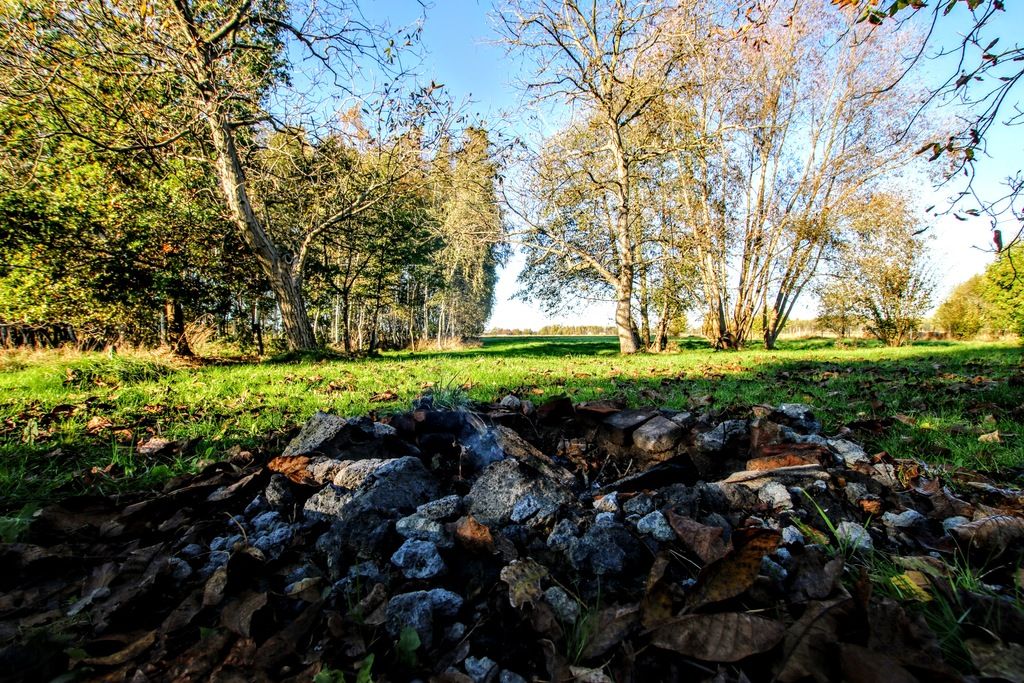 dom wolnostojący, 2 pokoje Krzywa. Zdjęcie 19