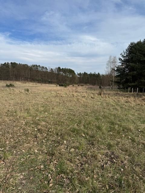 Działka rolno-budowlana Gola Wielka. Zdjęcie 2