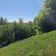 Działka inwestycyjna Malesowizna. Zdjęcie 4