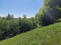 Działka inwestycyjna Malesowizna. Zdjęcie 3