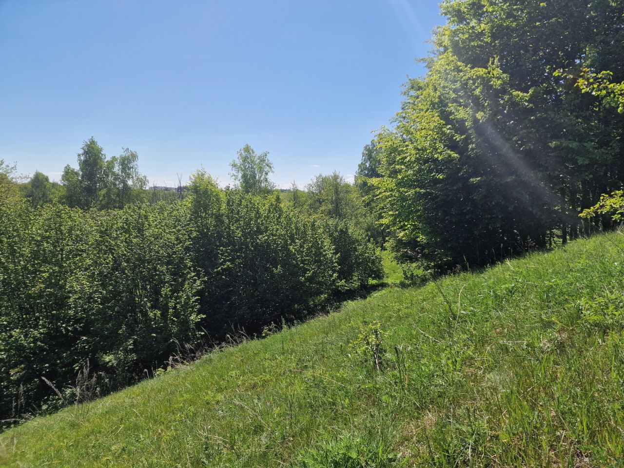 Działka inwestycyjna Malesowizna. Zdjęcie 4