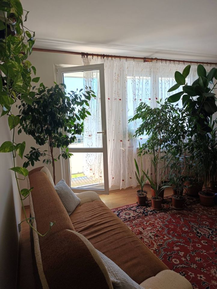 Mieszkanie 3-pokojowe Kołobrzeg Centrum, ul. Myśliwska. Zdjęcie 3