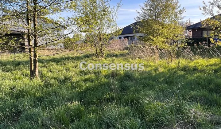 Działka budowlana Mikołów