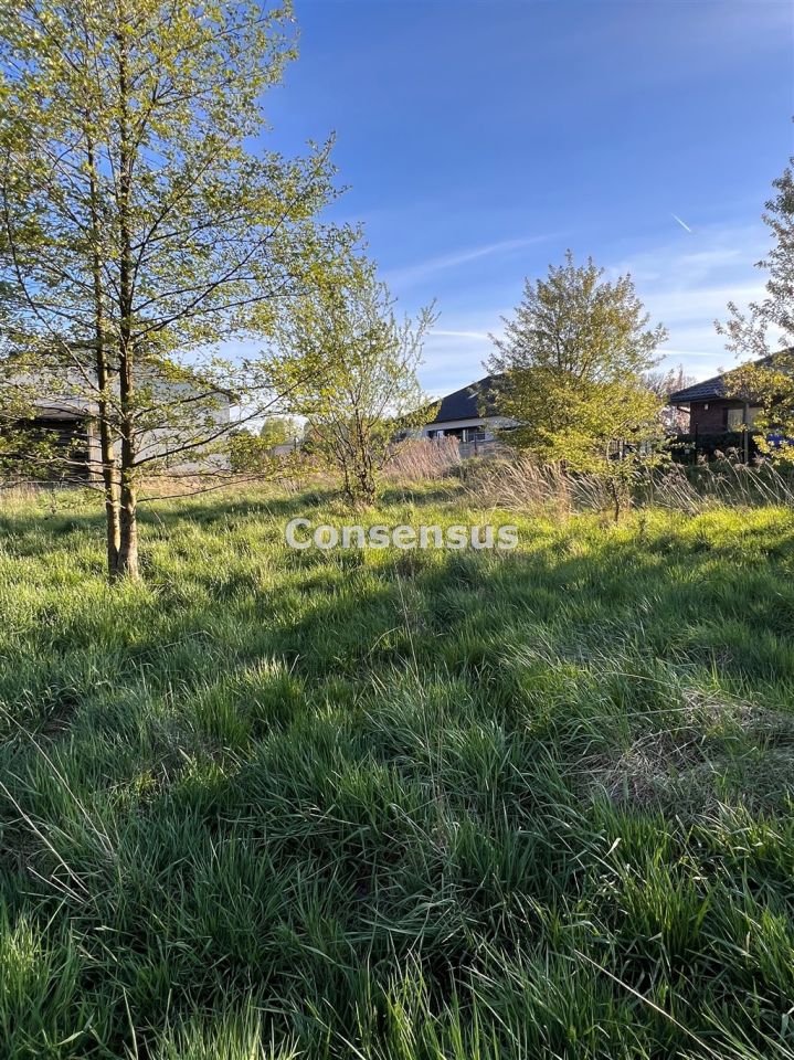 Działka budowlana Mikołów. Zdjęcie 1