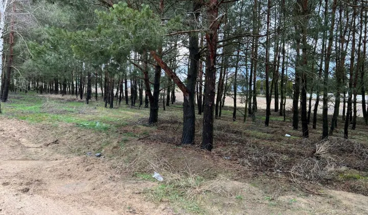 Działka rod Osłonin, ul. Krańcowa
