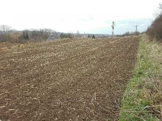 Działka budowlana Pękowice. Zdjęcie 1