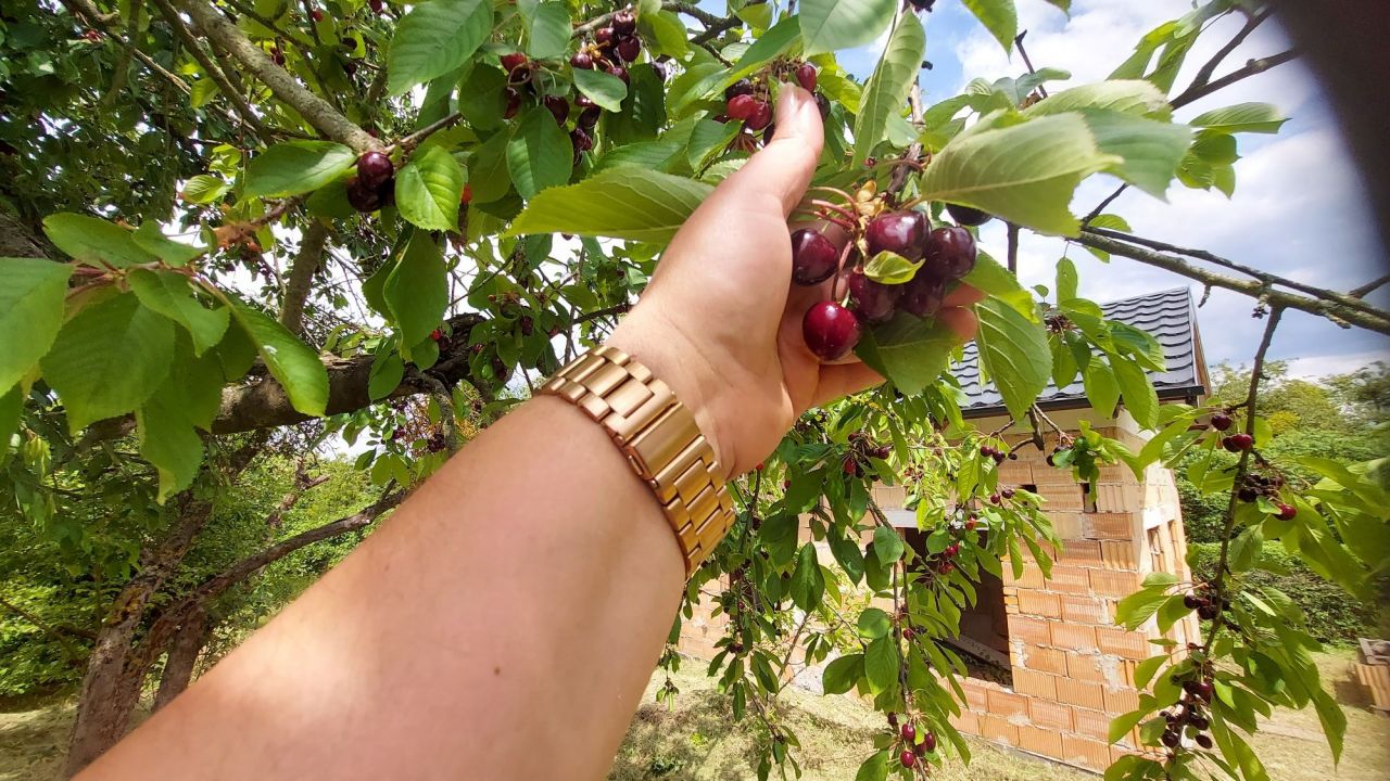 Działka rod Gryfino, ul. Armii Krajowej. Zdjęcie 7