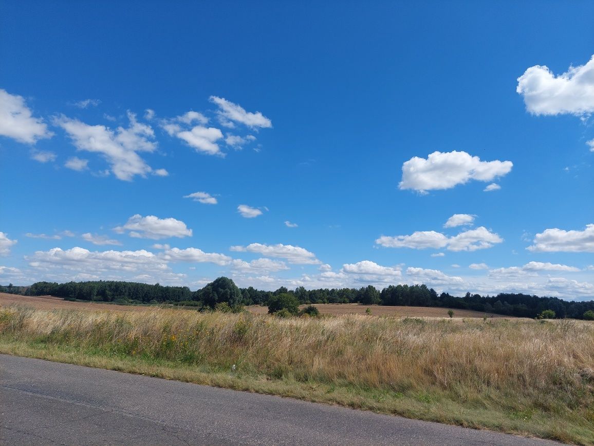 Działka budowlana Dąbrowa. Zdjęcie 4