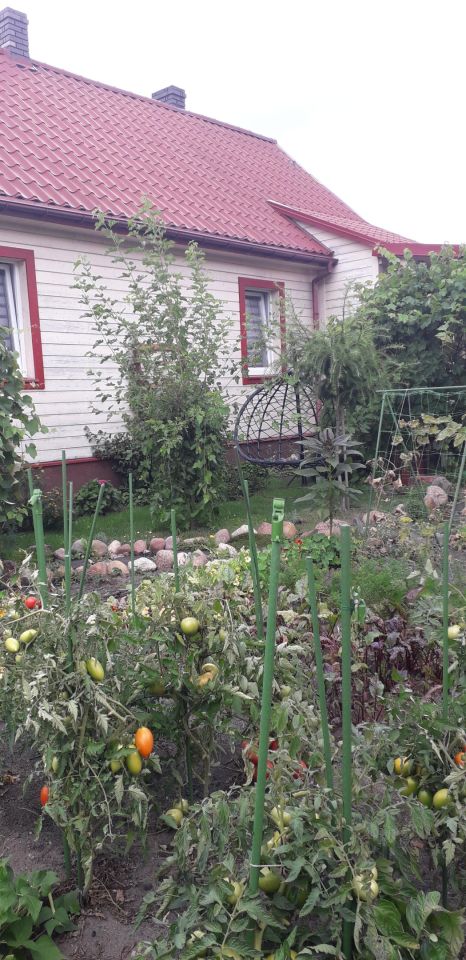 dom wolnostojący, 3 pokoje Studzianki. Zdjęcie 13