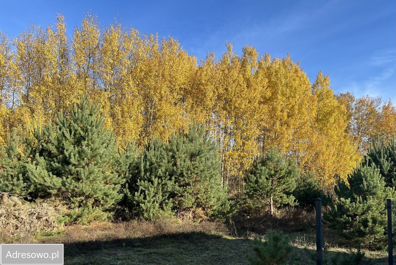 Działka budowlana Owczegłowy. Zdjęcie 15