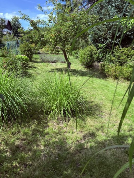 Działka rod Gdańsk Jasień, ul. Gronostajowa. Zdjęcie 9