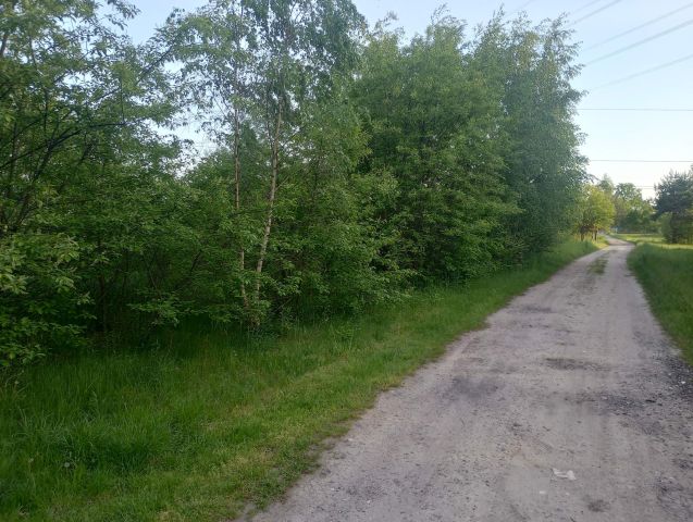 Nieruchomość komercyjna Warszawa Kamionek. Zdjęcie 2