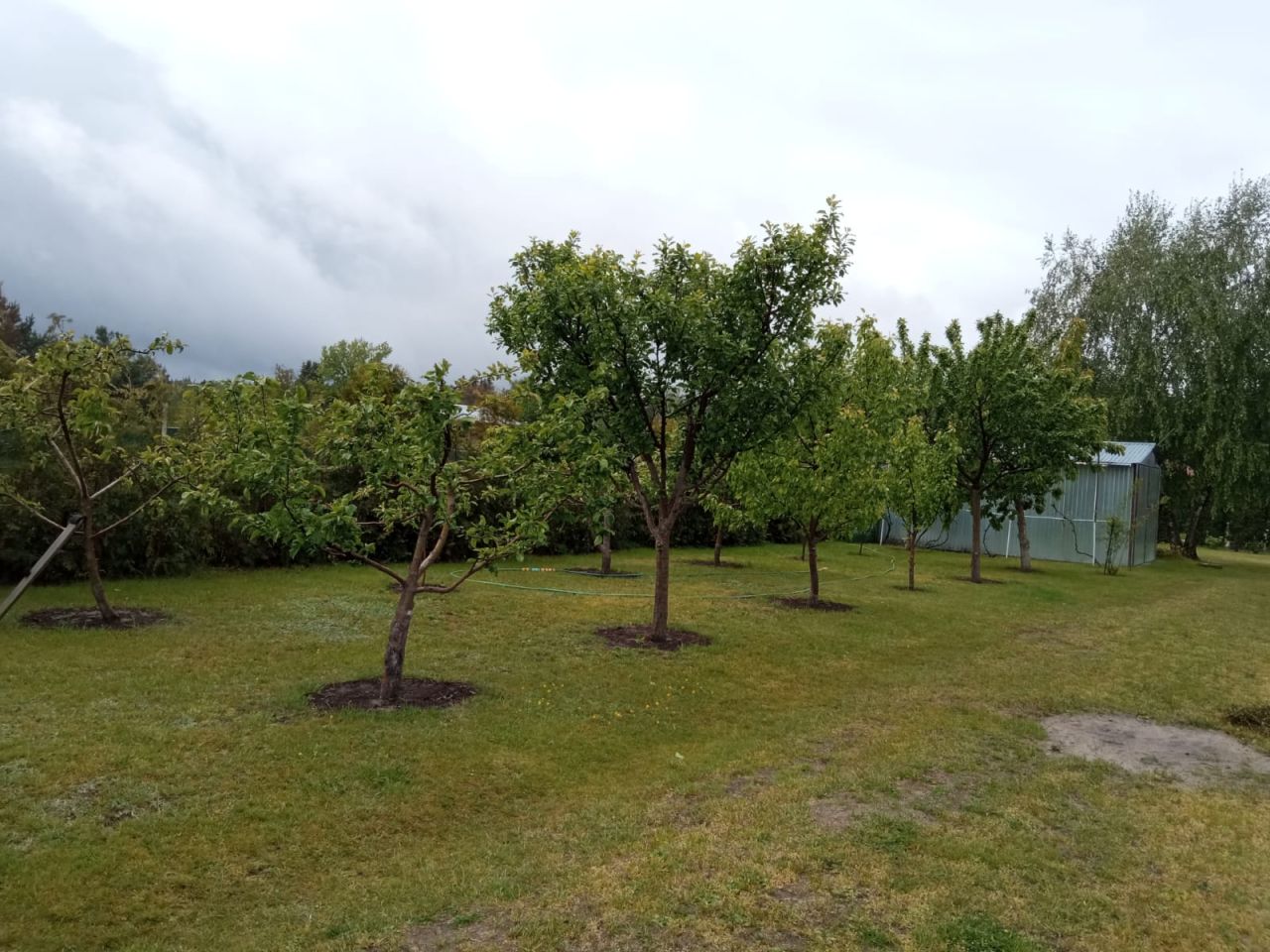 dom wolnostojący, 4 pokoje Łazy. Zdjęcie 4