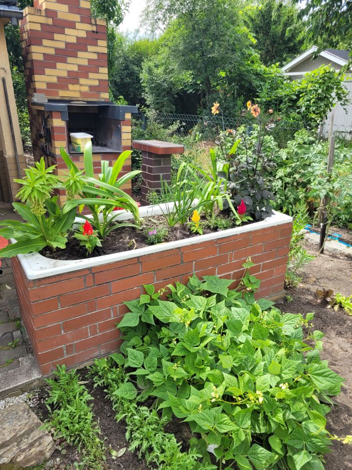 Działka rekreacyjna Wrocław Fabryczna, ul. Wojanowska. Zdjęcie 20