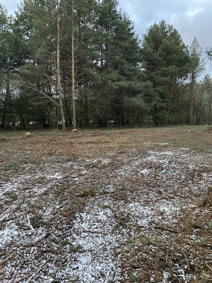 Działka rolno-budowlana Ruda-Pniewnik. Zdjęcie 5