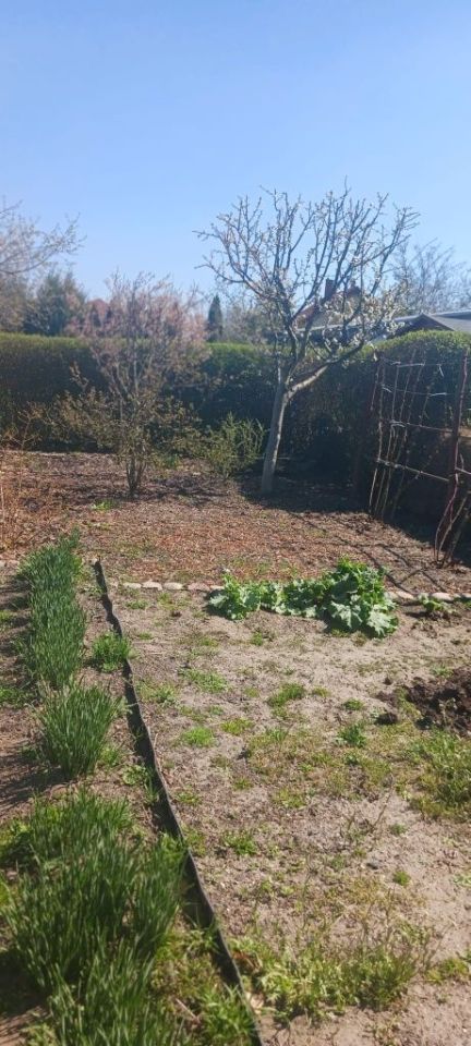 Działka rod Strzelno. Zdjęcie 6