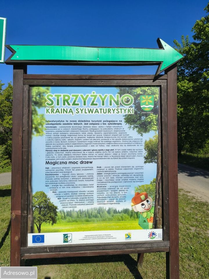 Działka budowlana Strzyżyno. Zdjęcie 12