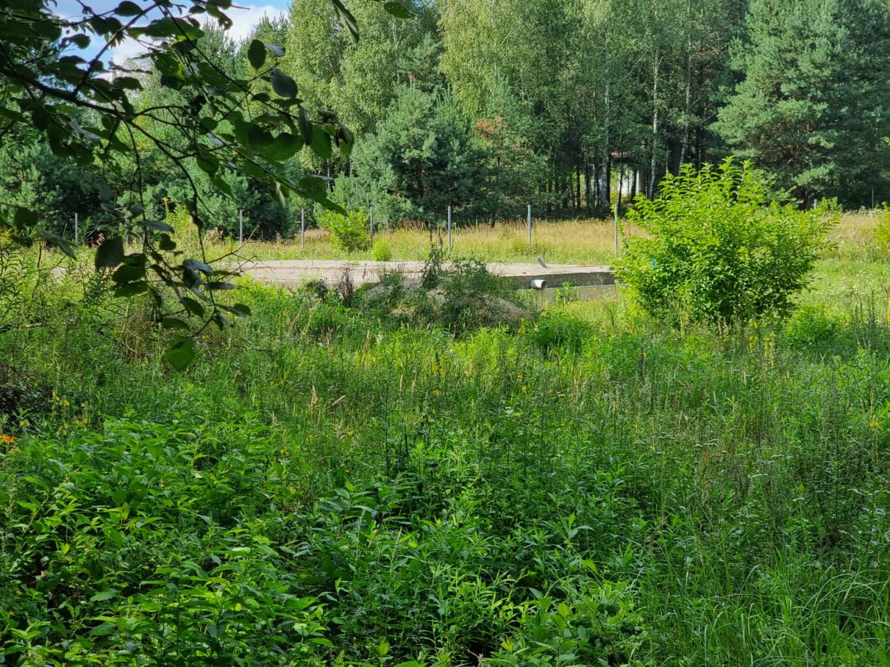 Działka inna Rokitnica. Zdjęcie 2