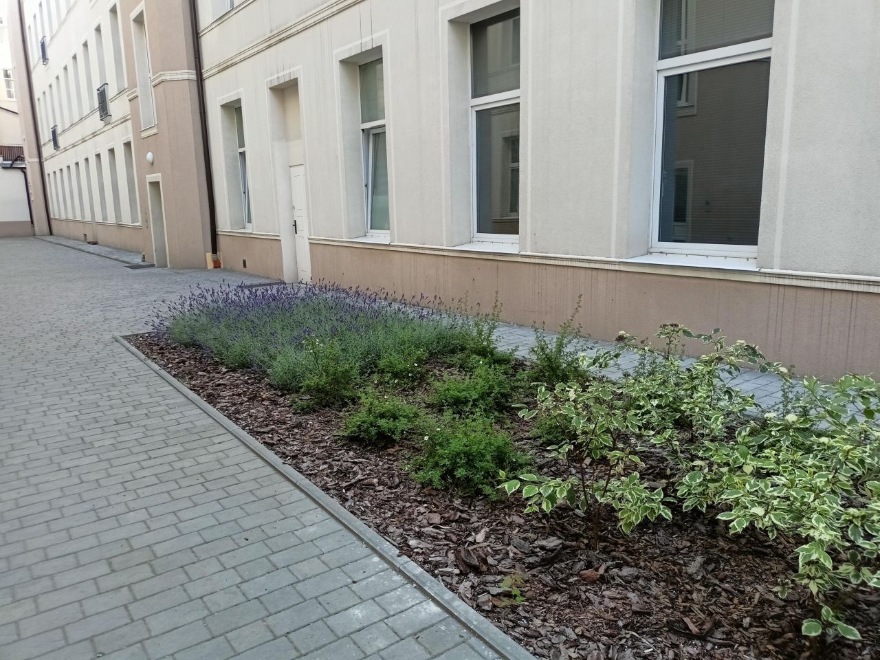 Pokój Łódź Śródmieście, ul. Prezydenta Gabriela Narutowicza. Zdjęcie 13