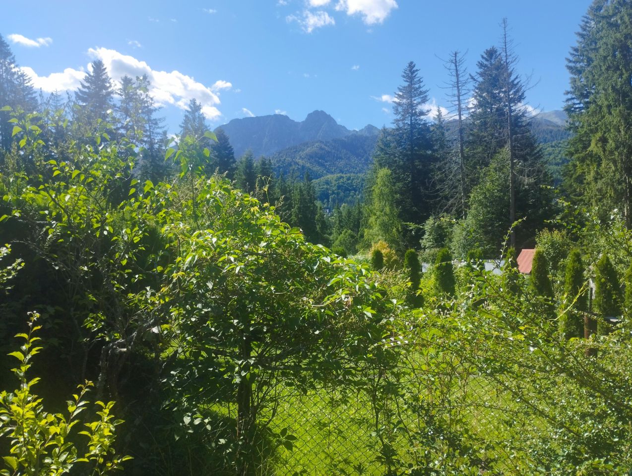 Działka rekreacyjna Zakopane, Karpielówka. Zdjęcie 3