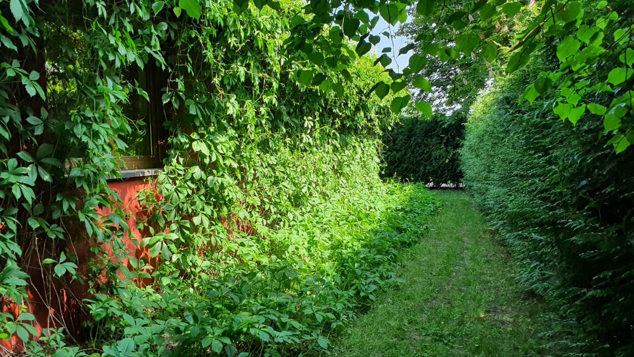 dom wolnostojący, 3 pokoje Skarbka Bidzińszczyzna, Bidizńszczyzna. Zdjęcie 3