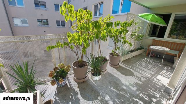 Mieszkanie 2-pokojowe Warszawa Białołęka, ul. Odkryta. Zdjęcie 5