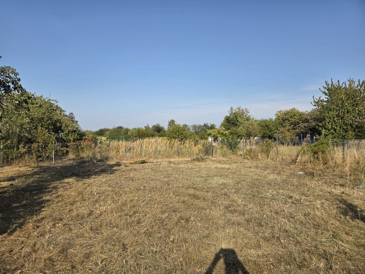 Działka rod Pieszyce, ul. Władysława Hermana. Zdjęcie 4