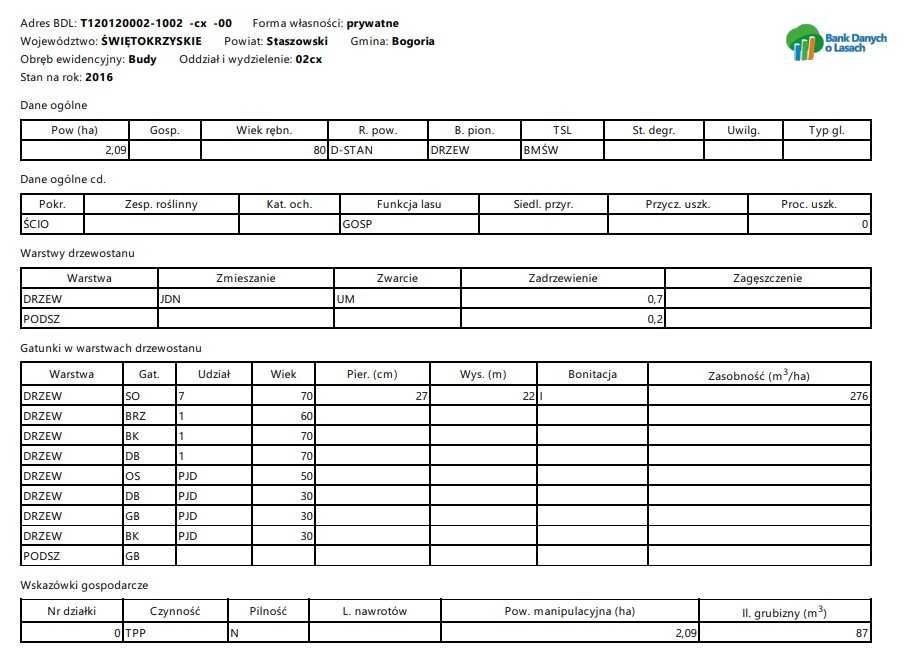 Działka leśna Budy. Zdjęcie 3