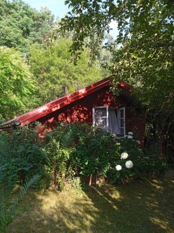 Działka rekreacyjna Białystok Jaroszówka. Zdjęcie 1