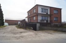 siedlisko, 6 pokoi Nowy Kaleń. Zdjęcie 3