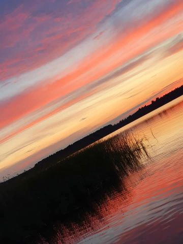 dom wolnostojący, 2 pokoje Dominice, ul. Porzeczkowa. Zdjęcie 1