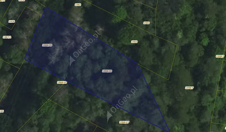 Działka leśna Rycerka Dolna Głębokie