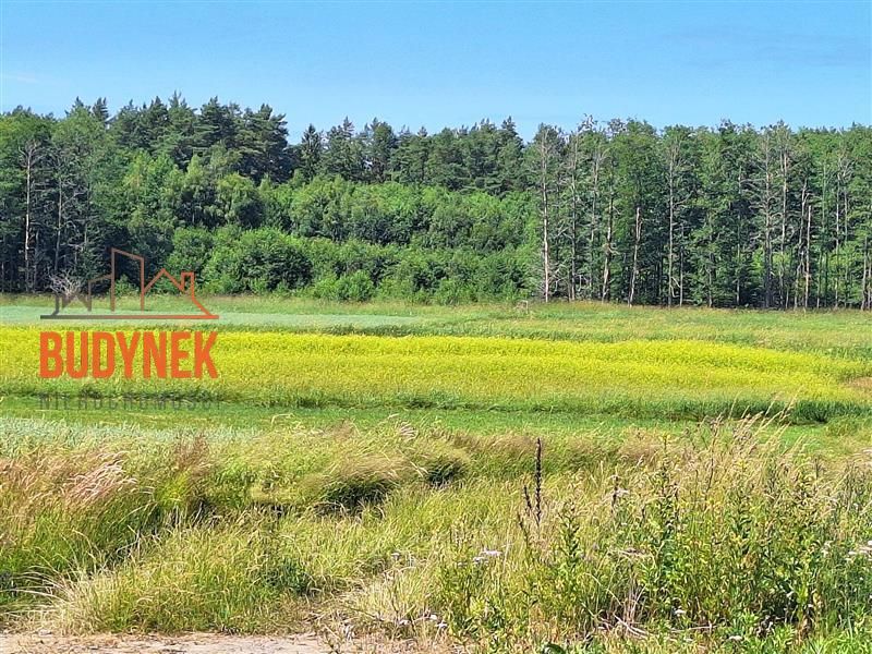 Działka rolna Krupy. Zdjęcie 4