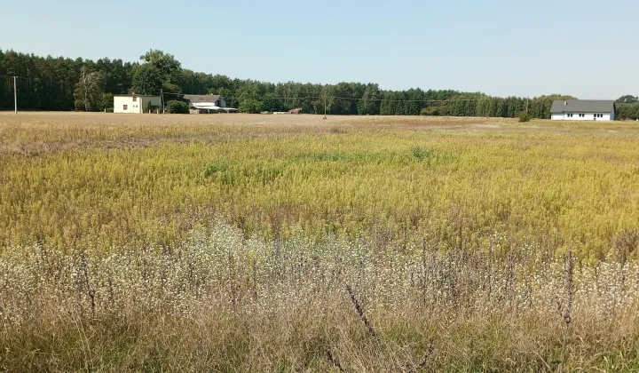 Działka rolno-budowlana Rzywno