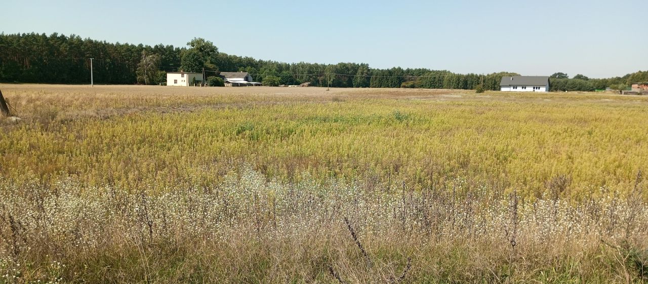 Działka rolno-budowlana Rzywno