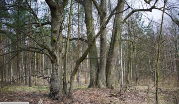 Działka Warszawa Stara Miłosna, ul. Torfowa