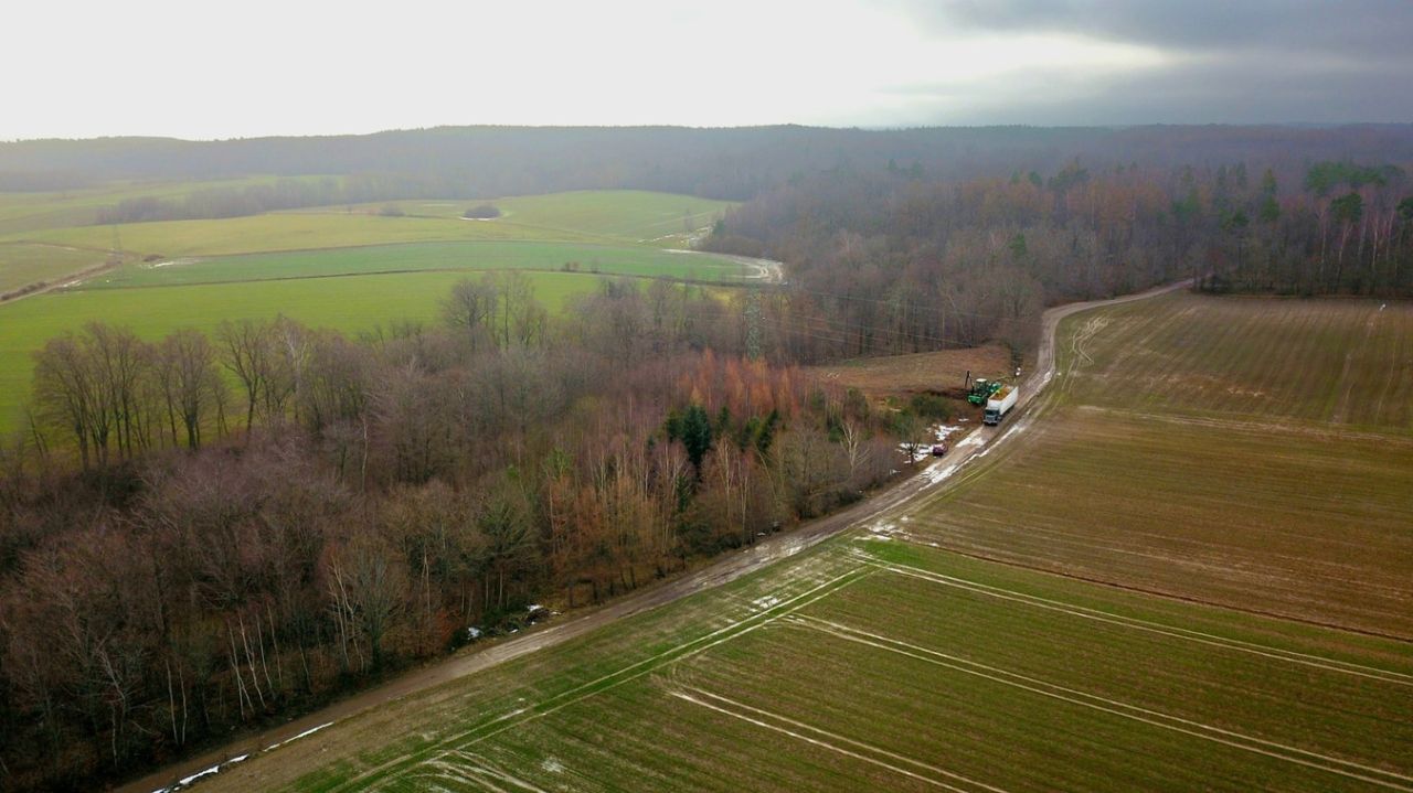 Działka budowlana Werblinia, ul. Leśna. Zdjęcie 1