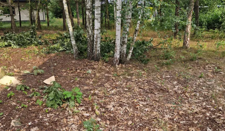 Działka budowlana Ostrowiec Świętokrzyski Piaski, ul. Spokojna