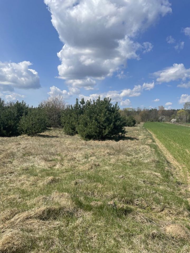 Działka rekreacyjna Miszewo B. Zdjęcie 4