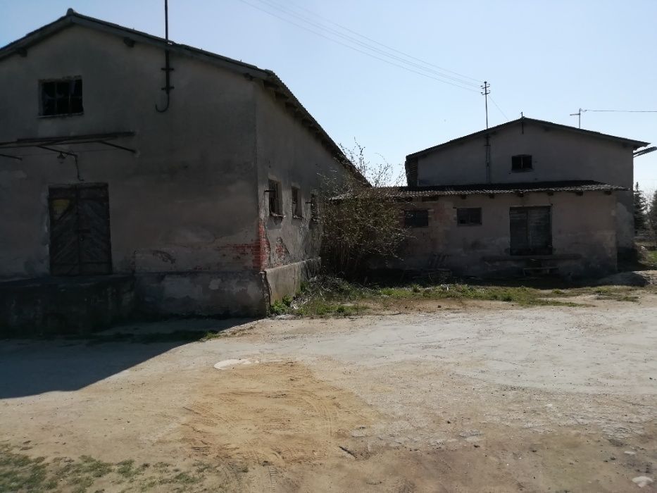 Hala/magazyn Niemierzyno. Zdjęcie 4